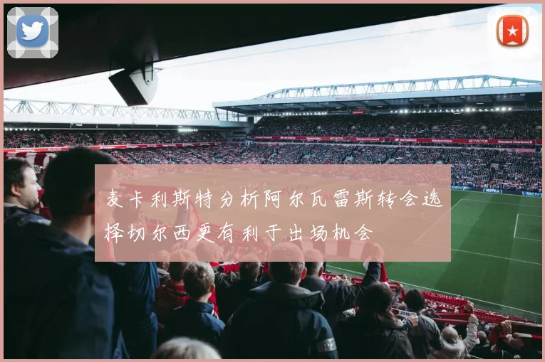 麦卡利斯特分析阿尔瓦雷斯转会选择切尔西更有利于出场机会